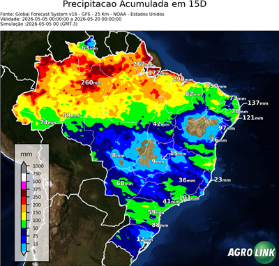15 dias