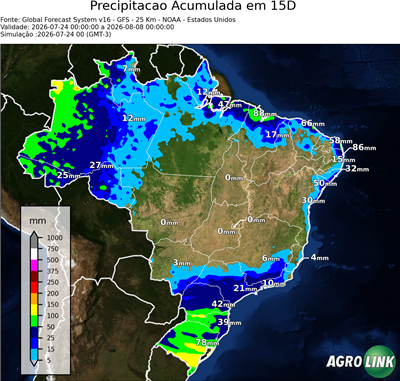 15 dias