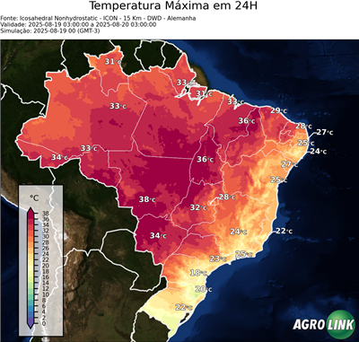 24 horas