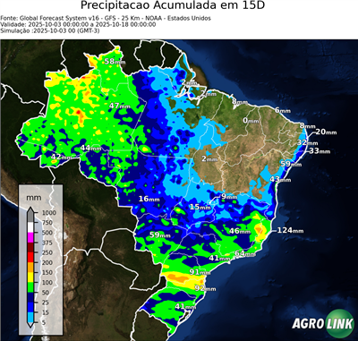 15 dias