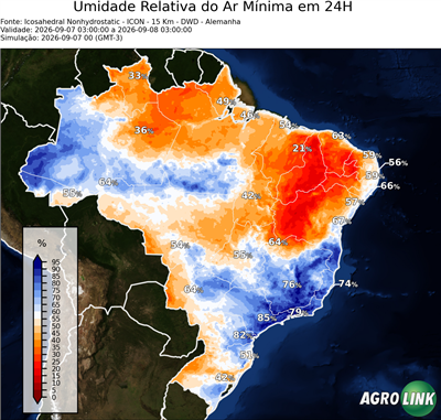 24 horas