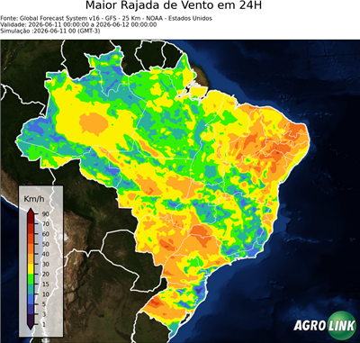 24 horas