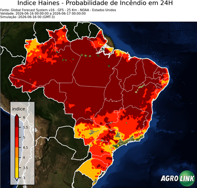 24 horas