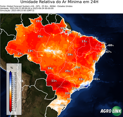 24 horas