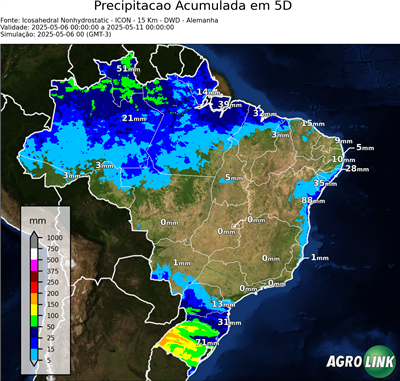 5 dias