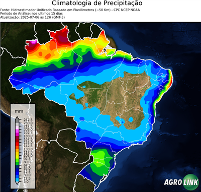 15 dias