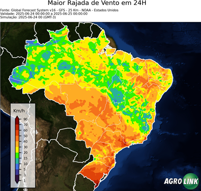 24 horas