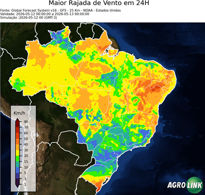 24 horas