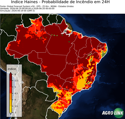 24 horas