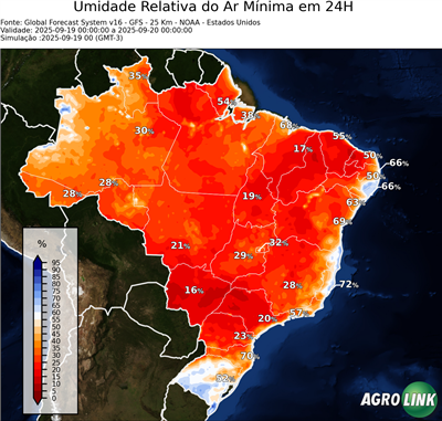 24 horas