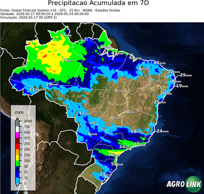 7 dias