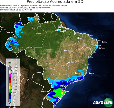 5 dias