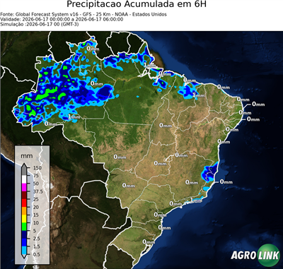 6 horas