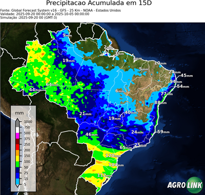 15 dias