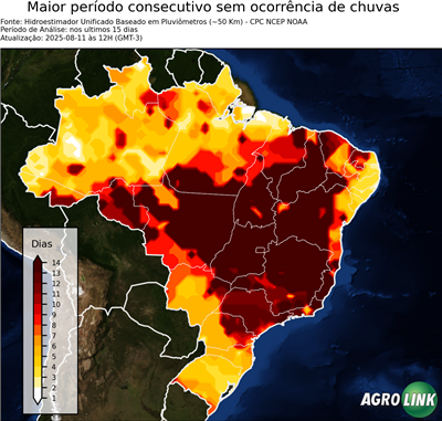 15 dias