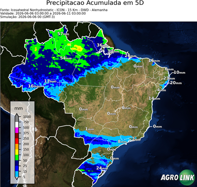 5 dias
