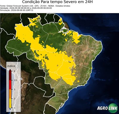 24 horas
