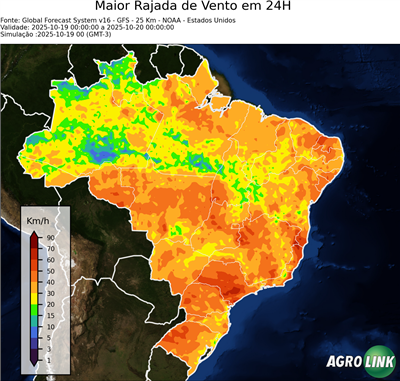 24 horas