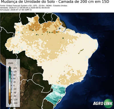 15 dias