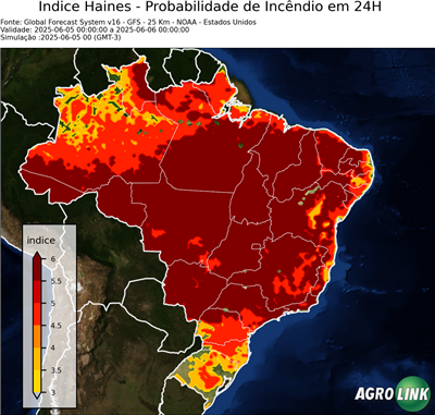 24 horas