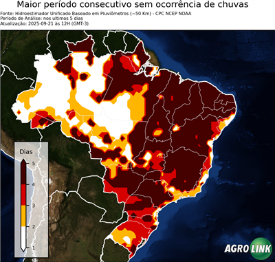 5 dias