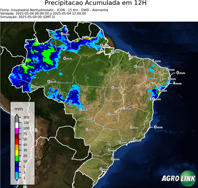 12 horas
