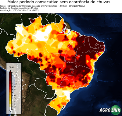 15 dias