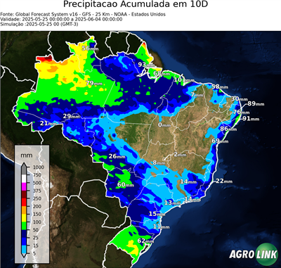 10 dias