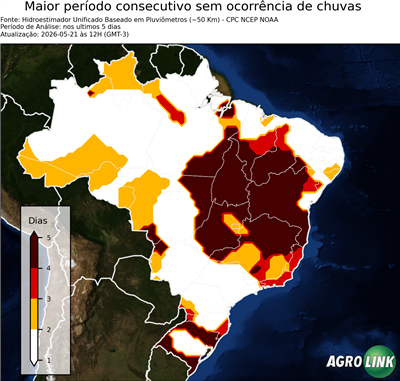 5 dias