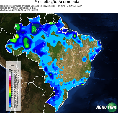 5 dias