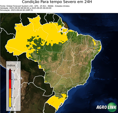 24 horas