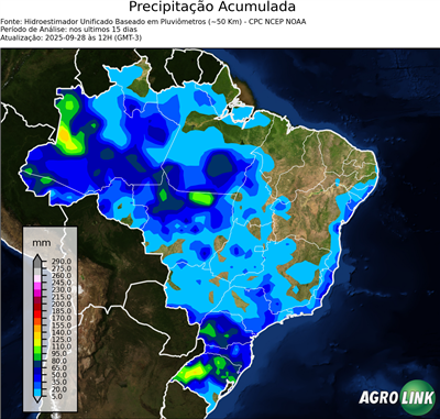 15 dias