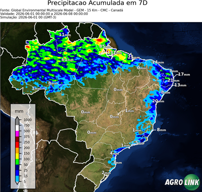 7 dias