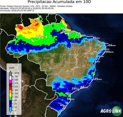 10 dias