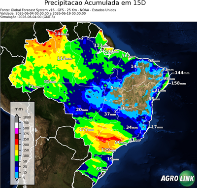 15 dias