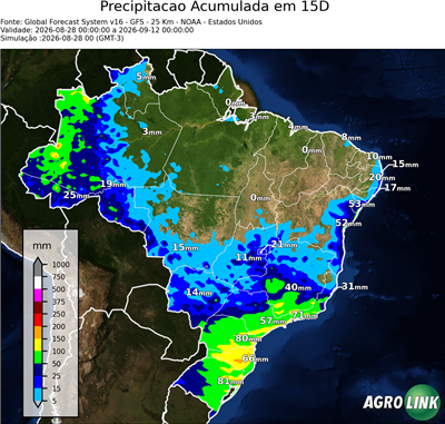 15 dias
