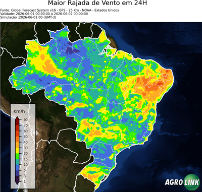24 horas