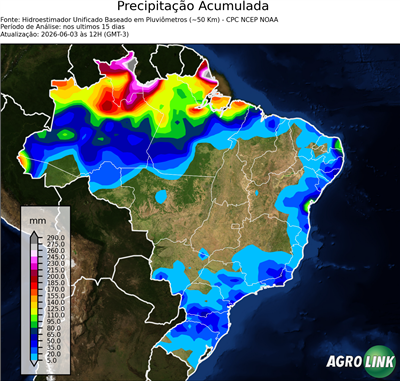 15 dias
