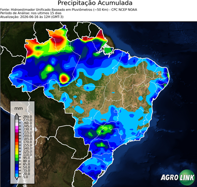 15 dias