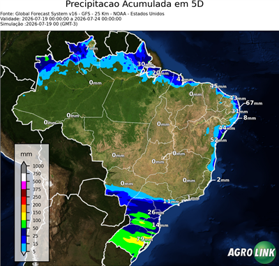 5 dias