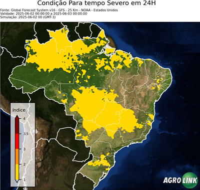24 horas