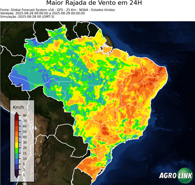 24 horas