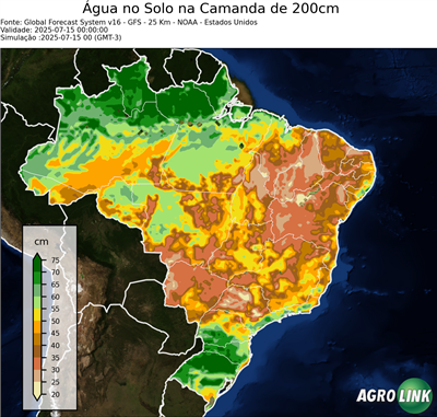 24 horas