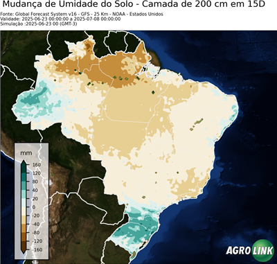 15 dias