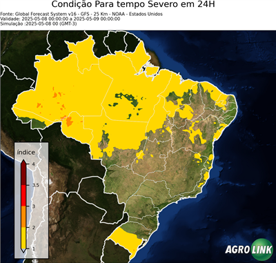 24 horas