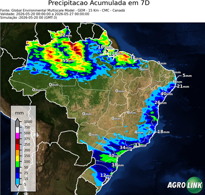 7 dias