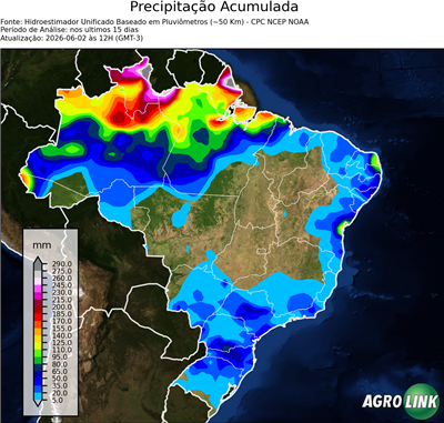 15 dias