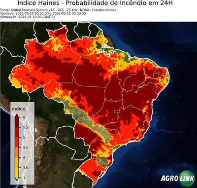 24 horas