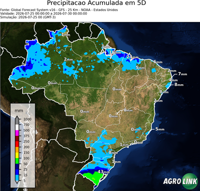 5 dias