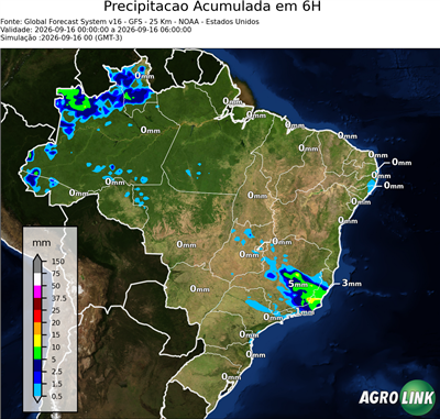 6 horas